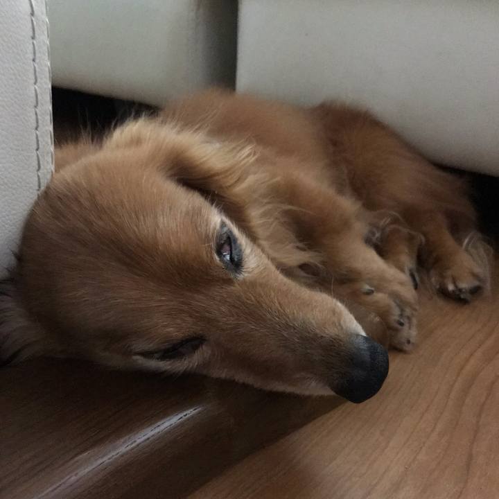 7e9cbe1f 16ed 43d0 b1ab 0462be4c7f9d 1564488792829