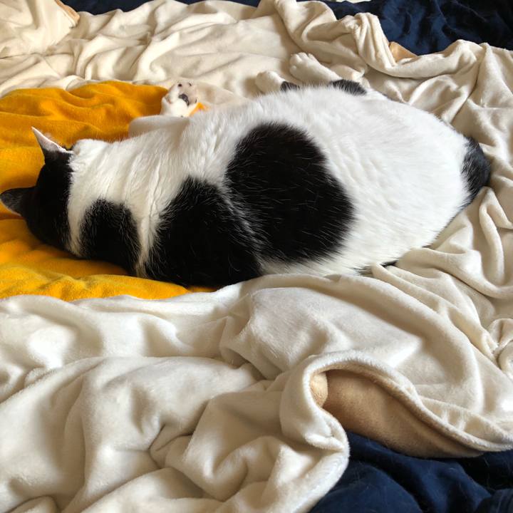 7e9ce337 864b 4dd5 b840 32bf8b2c23cc 1537595097862