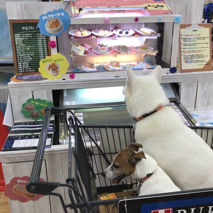 7e9ce71f 685d 41a3 9de4 a19c495a07f9 1540634761762