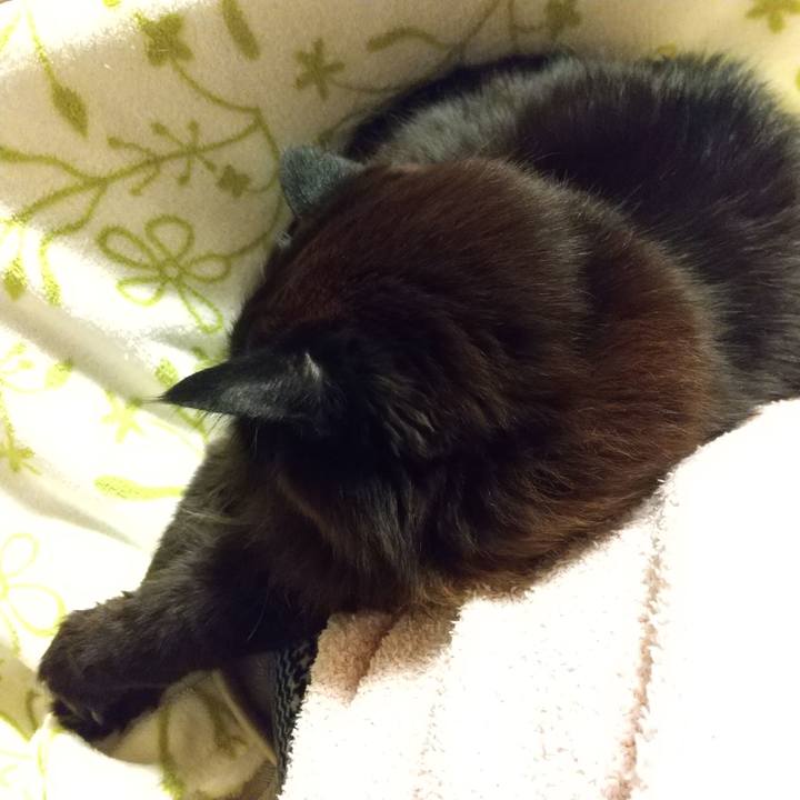 7e9cf7dc 6ba0 4a25 bbf1 e0b4c5320c37 1643802534899