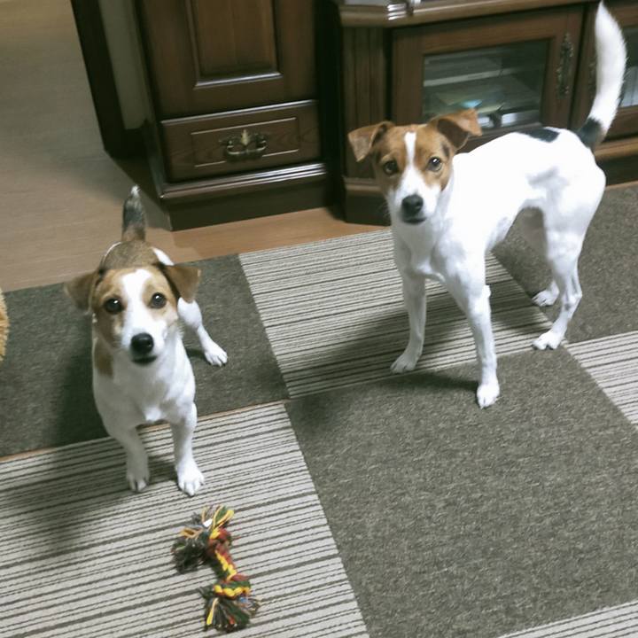 7e9d08aa 3314 4d73 83fa 03815a61e1ae 1764234023206