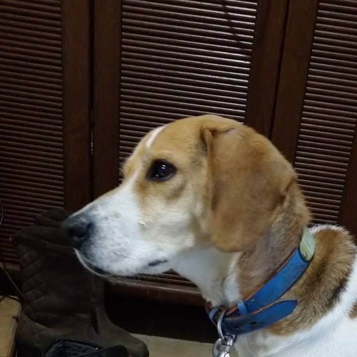 7e9d28d7 35d7 49cb bc5d 0de82ee964e1 1613731840769