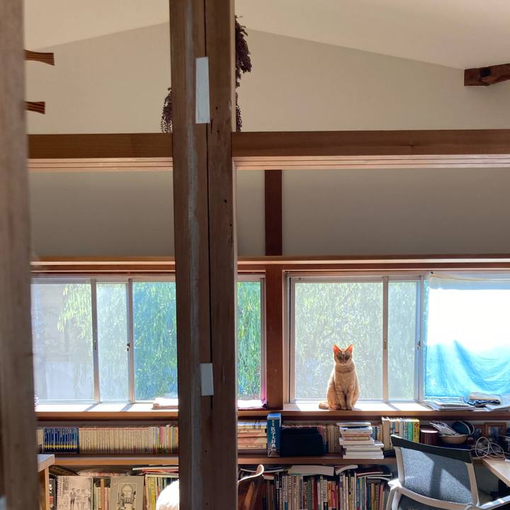 7e9d4adf 858f 4d6b b9a9 96852aacc7fe 1654074464470