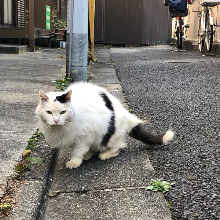 7e9d7e47 afec 4631 916a 330707581353 1607439129459