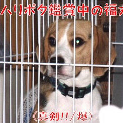 7e9da02c 2cc7 4fbe a0f7 0548c5e5fd8c 1689984354956