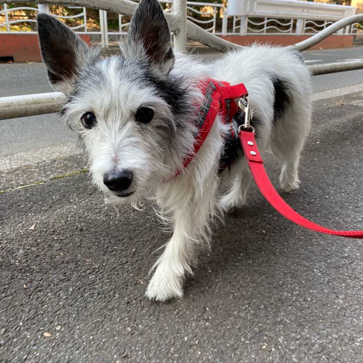 7e9dbeb6 0516 4dfa b945 89afb9d2b85f 1613905778134