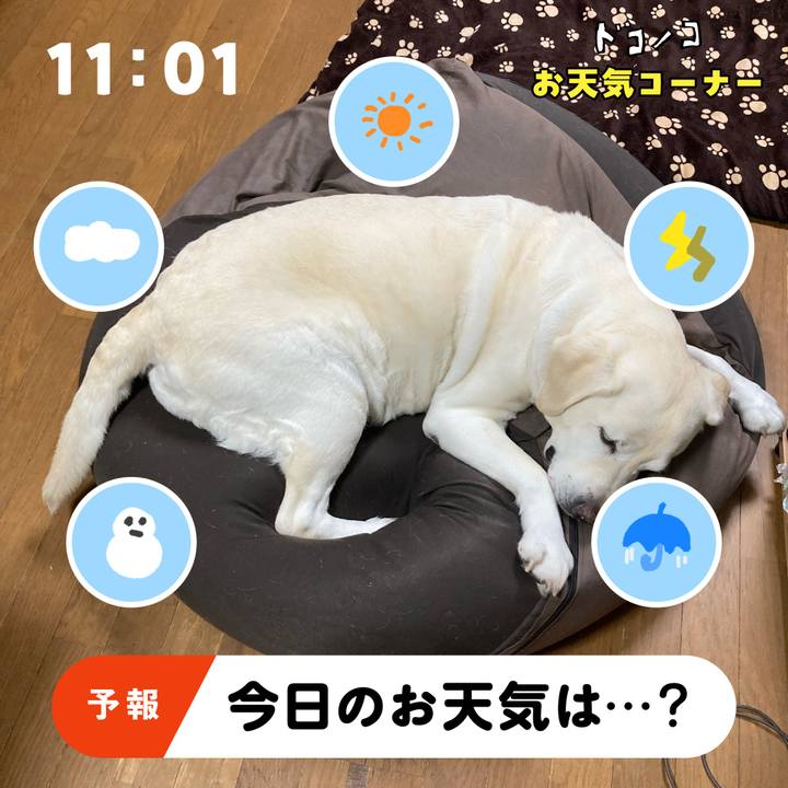 7e9dcb76 629e 4419 a50d e3cf0b25dea7 1782090445280