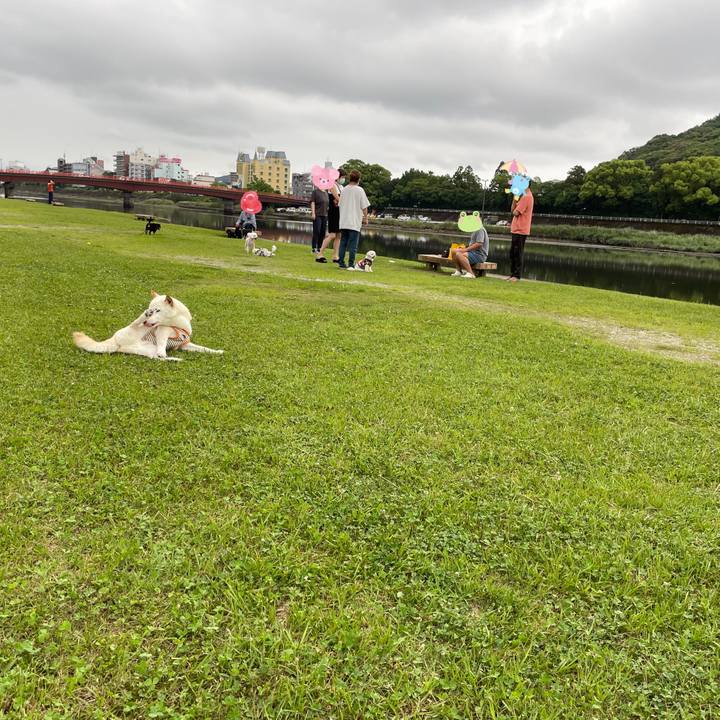 7e9dd73f 69a7 4eb7 aa83 e898895f3b09 1655645103316