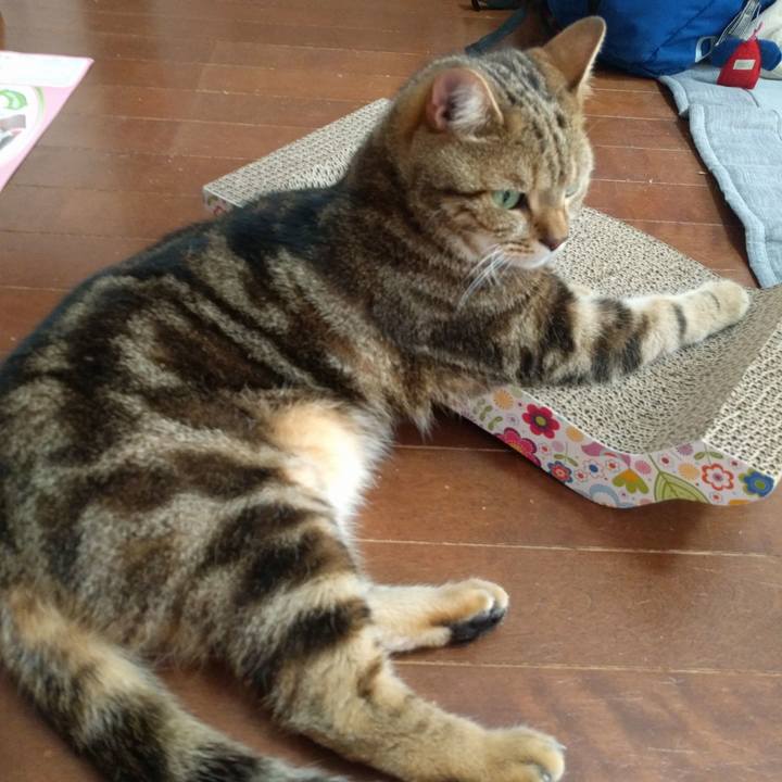 7e9e0586 03ff 4c7e ad6e 7fa51e827cf1 1528015130102