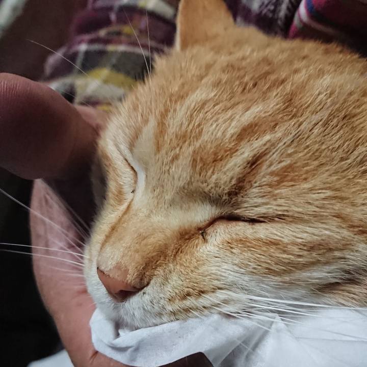 7e9e2ed1 cd84 4e19 9ab2 ceb57aee1d65 1587163447325