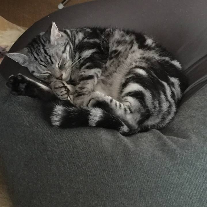 7e9e51df 39ec 4cab 83b4 9b210f31c95a 1512663329887