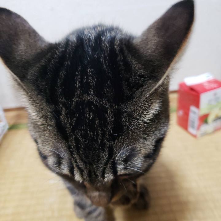 7e9e8634 24cd 413a 8abe a4d994bce881 1547302466667