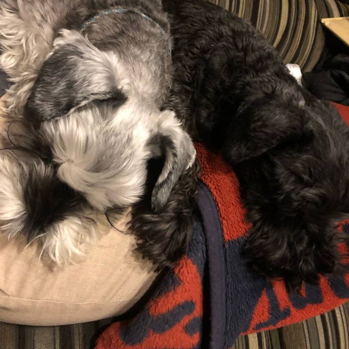 7e9e90a4 6d6d 4dd9 8102 d786a71fa71a 1545997814831