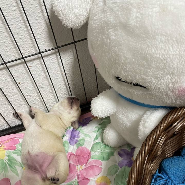 7e9ed142 8625 4531 be31 322bfc4a562c 1625575523461