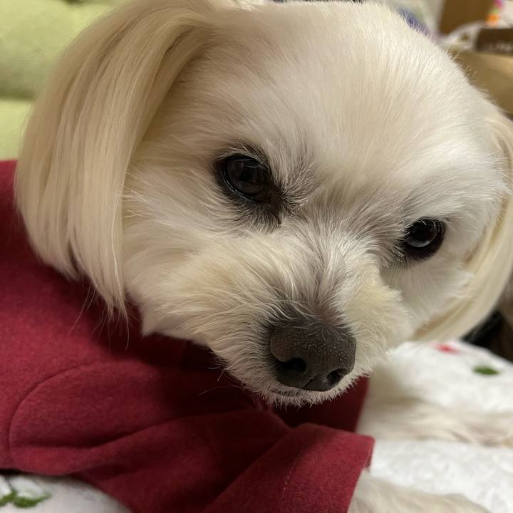 7e9ed617 da48 4cc9 a357 41de19918683 1676032517791