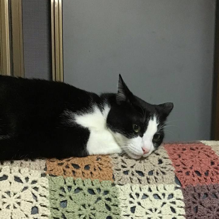 7e9eef8e 6967 4306 afa8 e6b3498839c1 1727347019085