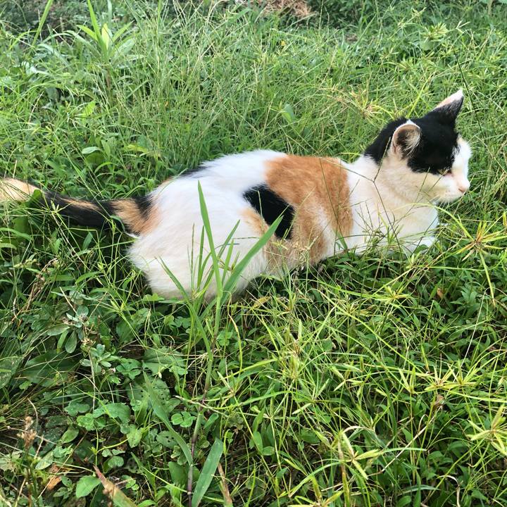 7e9f2d1c 5d8c 4f26 8c9e a9657fbae005 1598567061626