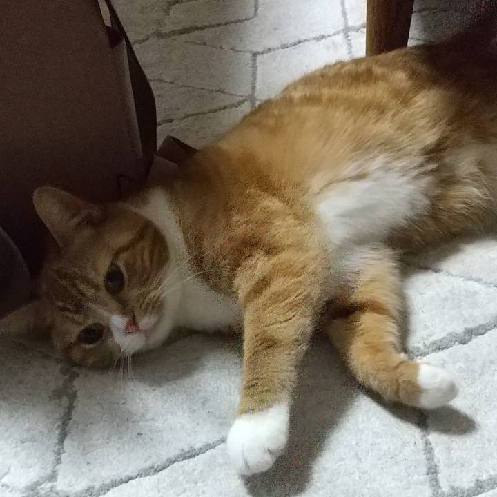 7e9f542c 857d 4a98 8133 df06522242ee 1686750121186