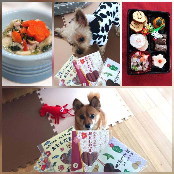 7e9f609f 8cc7 44b4 8275 cd9c005acbb2 1609463778337