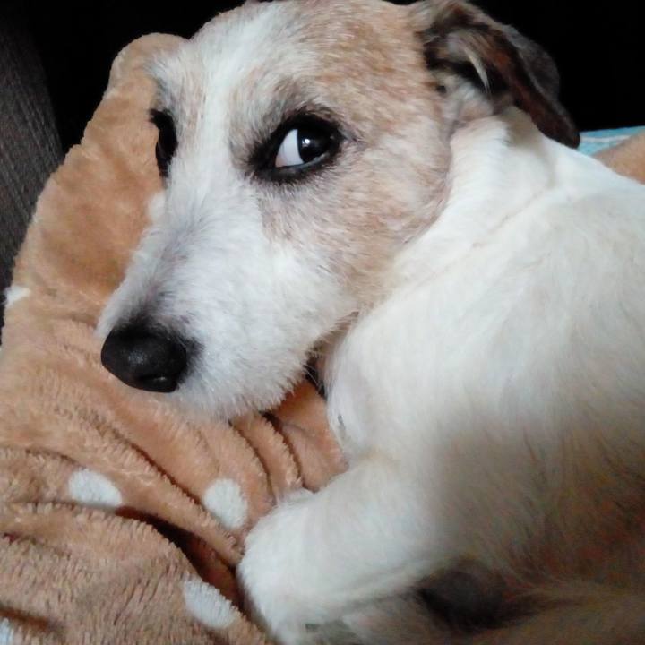 7e9f83fd a4cb 420c a941 a61fa92b02d8 1587554992921