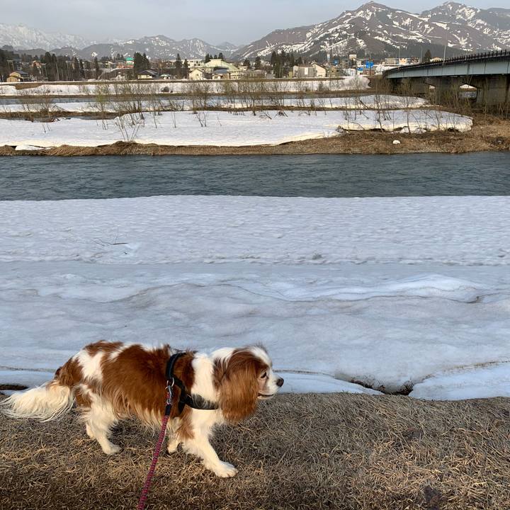 7e9f8d1f 0a3a 4082 8081 7d64a6a611fc 1617179640585