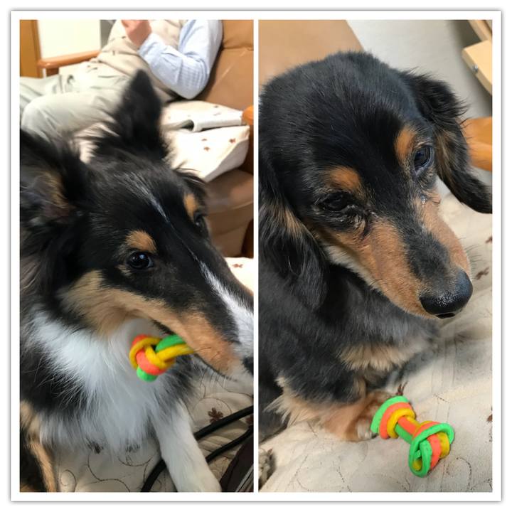 7e9fb08b 0fc7 4800 a027 f46572417ce9 1518991130250