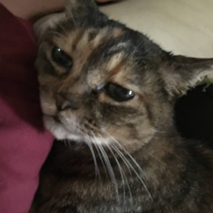 7e9fdb05 5268 4f83 bc90 b9ae7ac151de 1559045290019