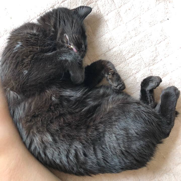 7e9ffb09 12fd 4abe a8c9 48a4eac51665 1561254108583