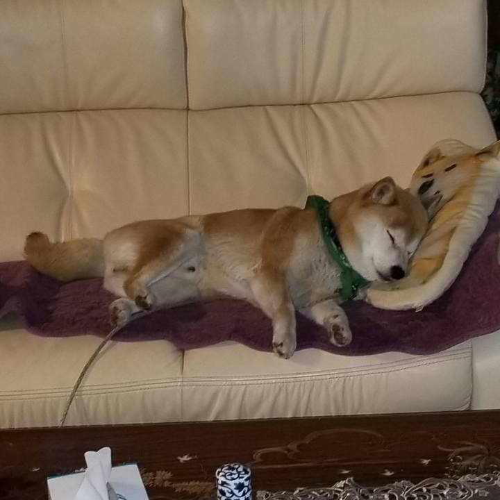 7ea001b7 44fc 4d39 9d40 972aef8431c1 1558433181626