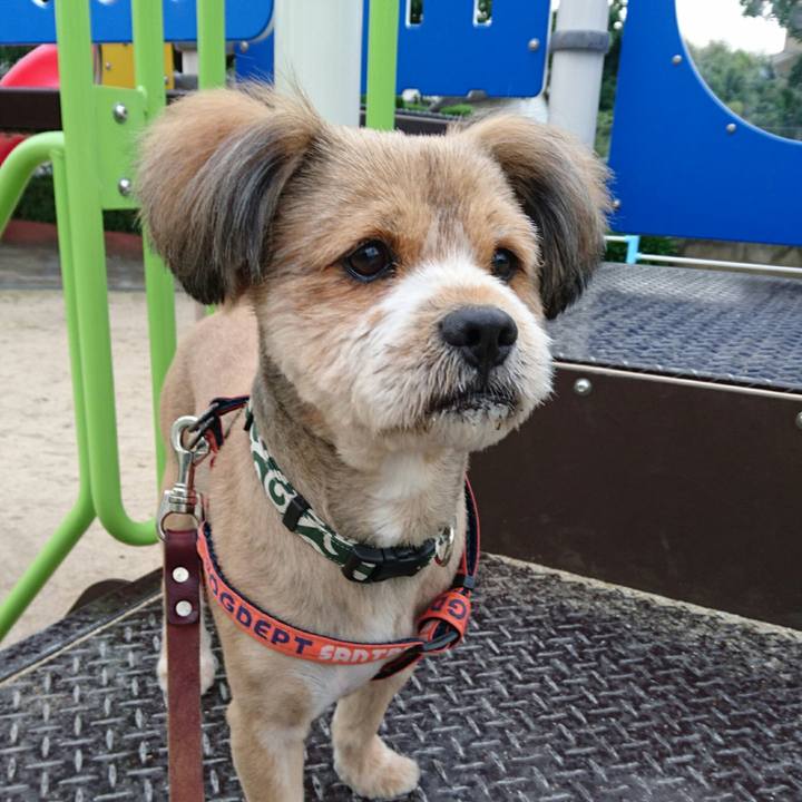 7ea007e6 1f49 4ee0 9b18 da375bc5123d 1529362318667