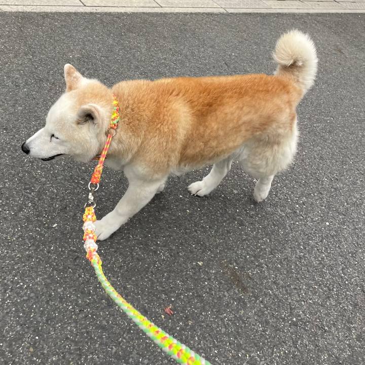 7ea06fb8 6a56 4a89 b49c ba67f71cd5c6 1685056285030