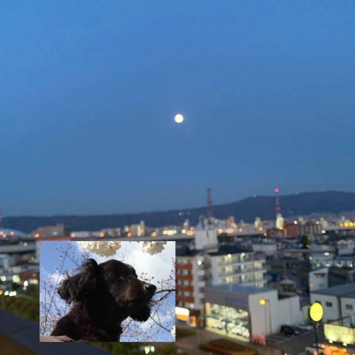 7ea0d3b6 f170 46db 955c e4c8184de33c 1586252777364