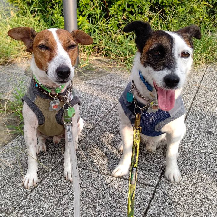 7ea13c21 5df5 464e 9ee4 c5336205e25d 1661291397663