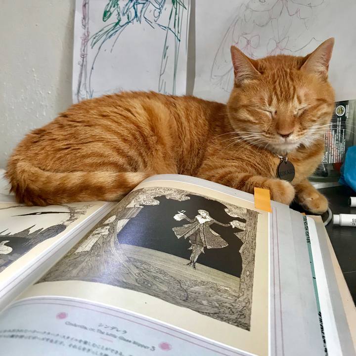 7ea14aa6 8cce 483d 96f2 373542cc5c9f 1560862487828