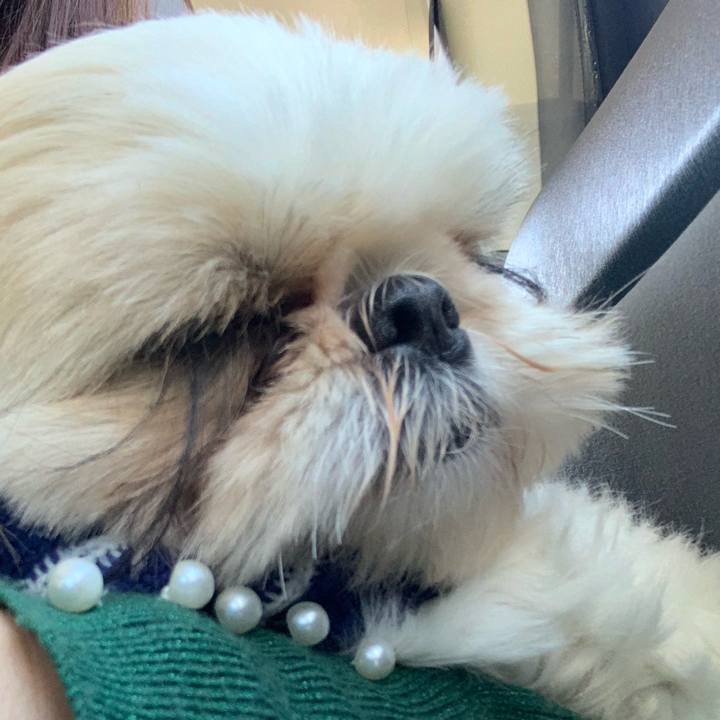 7ea167f2 6cc3 49d5 a950 379222db8931 1638709782145