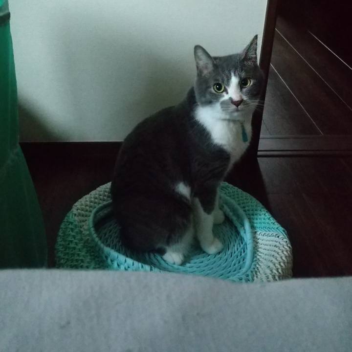 7ea16ab6 8124 4fb5 9191 8dd30133f429 1648591052640