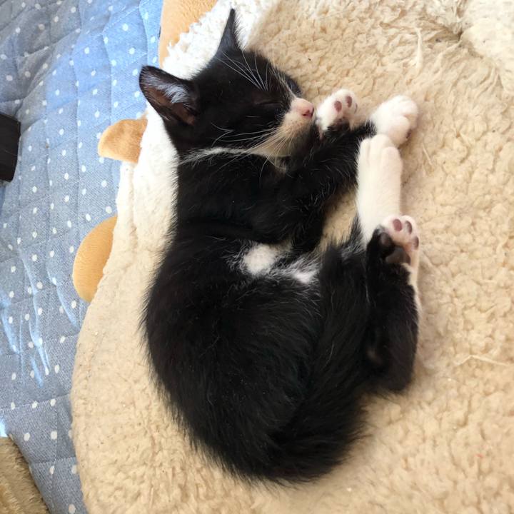 7ea197e8 dca9 44d0 84b4 42b44381efc4 1537594121835