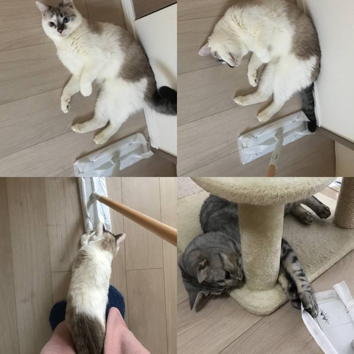 7ea23b39 7d7a 4701 9eda 6578f5f1f4b5 1540508119407