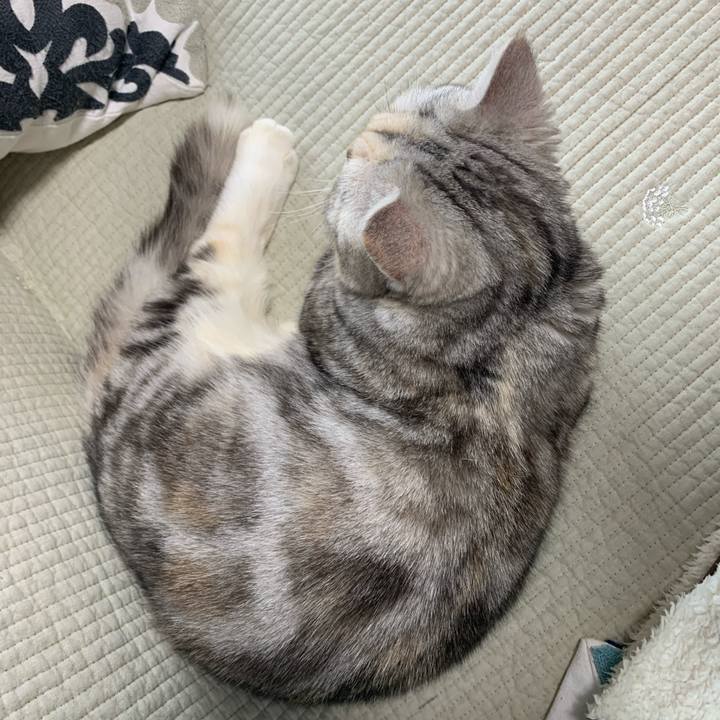 7ea28db1 abd0 4f7c 8f16 077ee82e8209 1705709300510