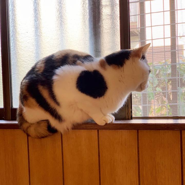 7ea29bb3 f161 467c a77c 9c60dbacf405 1554950339073