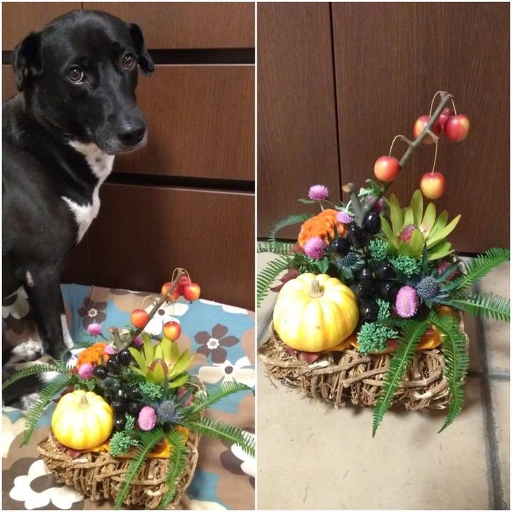 7ea2adfe ea36 4314 bf8f cf115ed44c6a 1602767382396