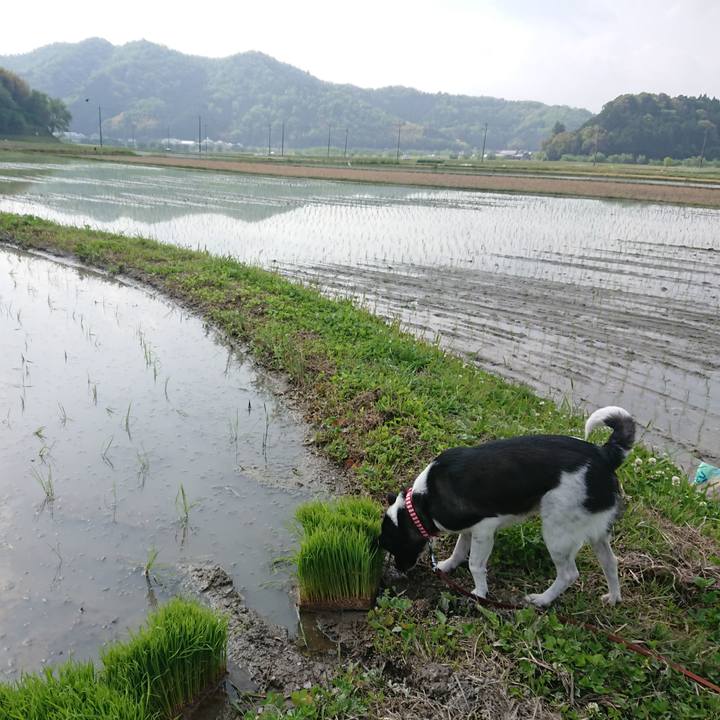 7ea2bf25 21b5 4a77 9a2c 295a413ae239 1620555340102