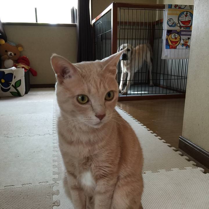 7ea2d5de 71af 437c 9408 09163f06628c 1537929010380