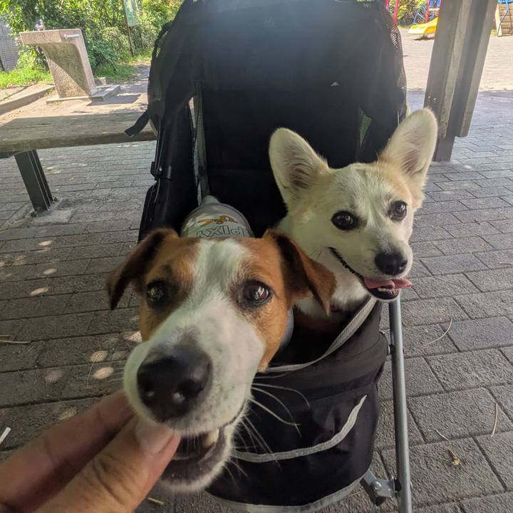 7ea2dc82 cf6b 4b2a 83e0 22cf5ca18034 1753243315436