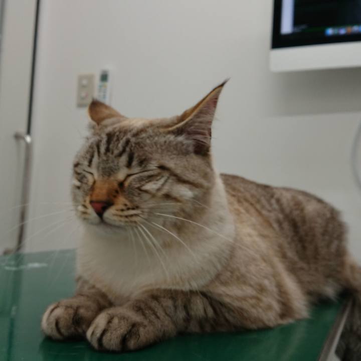 7ea30217 eb4c 4722 8883 5587817a0869 1518691904749