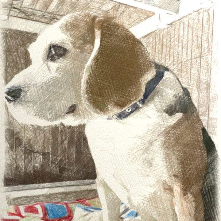 7ea309c2 beb1 4b7b 9c6f 6ab7e09d459f 1521645050389