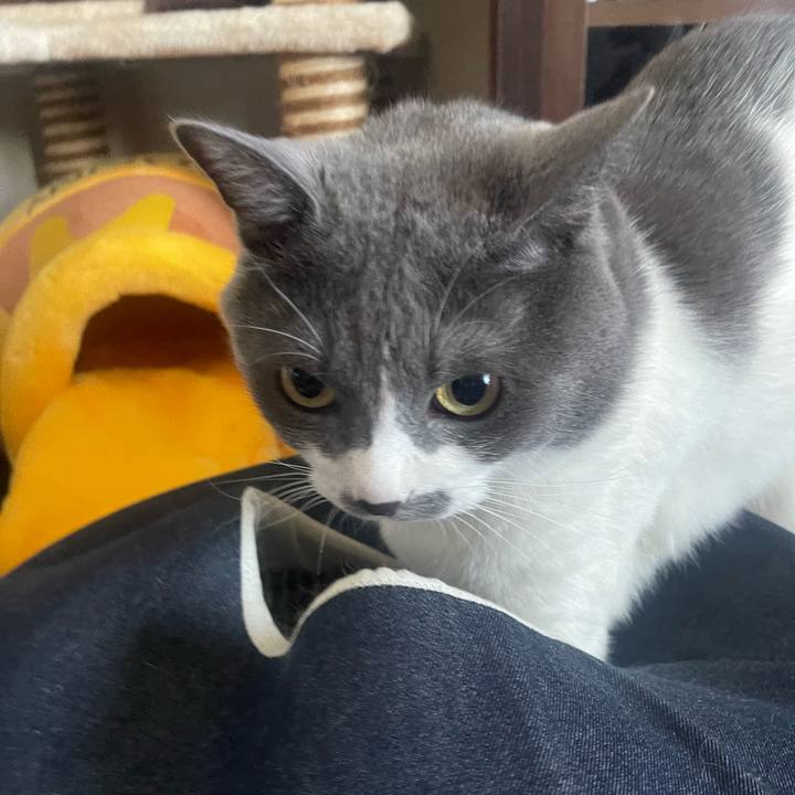 7ea34d25 e8e0 4df4 aa0f d3d3a58e67a6 1721604056683