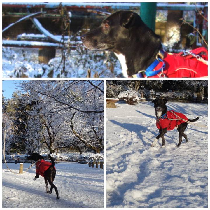 7ea37029 ca9d 4191 8249 bcfe25631a09 1641515699291