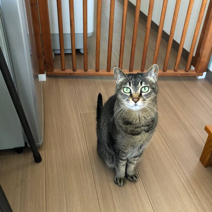 7ea3850d 9989 444d aa42 3f00681b317f 1658366746951