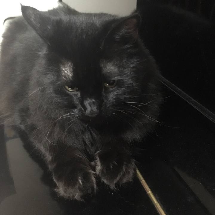 7ea3da24 d596 443b ae3c 9098b5f03739 1565404484794